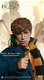 Star Ace Fantastic Beasts Newt Scamander Grey Coat - 2 - Thumbnail