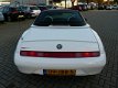 Alfa Romeo Spider - 3.0 V6 12V (Busso) Lusso - 1 - Thumbnail