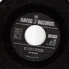 Motions - Why Don't You Take It / My Love Is Growing 1966