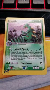 Sceptile 11/109 Holo Ex Ruby & Sapphire nearmint - 1