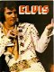 Elvis - Kenneth Wilson - 1 - Thumbnail
