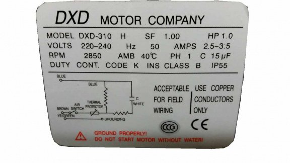 DXD Motor Company Model DXD 310 H - 3