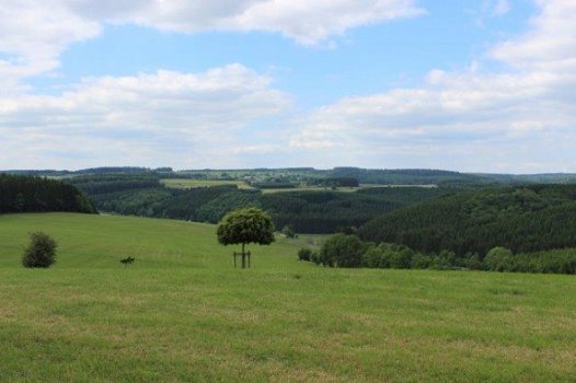 4760 MANDERFELD – EIFEL : mooi gelegen bouwpercelen, vanaf 7a46ca, mooi uitzicht. - 1