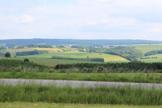 4760 MANDERFELD – EIFEL : mooi gelegen bouwpercelen, vanaf 7a46ca, mooi uitzicht. - 2