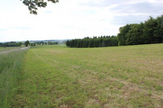 4760 MANDERFELD – EIFEL : mooi gelegen bouwpercelen, vanaf 7a46ca, mooi uitzicht. - 3