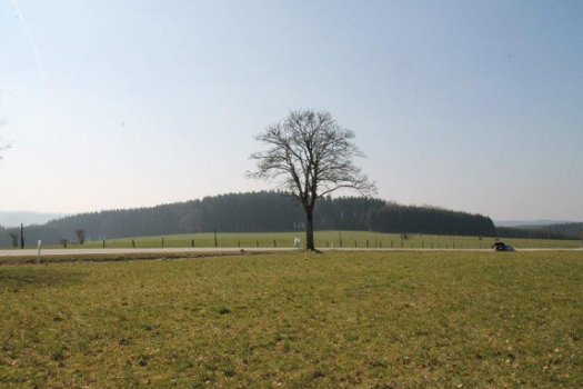 4760 MANDERFELD – EIFEL : mooi gelegen bouwpercelen, vanaf 7a46ca, mooi uitzicht. - 5