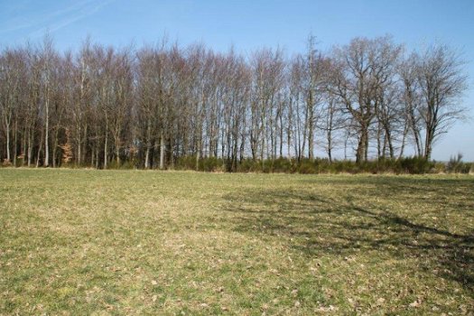 4760 MANDERFELD – EIFEL : mooi gelegen bouwpercelen, vanaf 7a46ca, mooi uitzicht. - 6