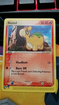 Numel 61/109 Ex Ruby and Sapphire - 1