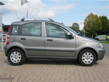 Fiat Panda - 1.2 Edizione Cool - 1