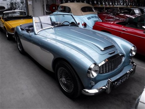 Austin Healey - 100 / 6 - 1