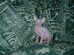 Canadese Sphynx-kittens - 2 - Thumbnail