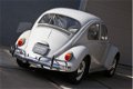 Volkswagen Kever - 1200 Patina - Orginal - 42116miles - 1 - Thumbnail
