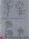 Succulents - 2 - Thumbnail