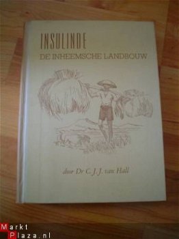 Insulinde: de inheemsche landbouw door C.J.J. van Hall - 1