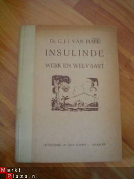 Insulinde werk en welvaart door C.J.J. van Hall - 1