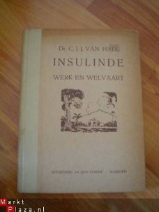 Insulinde werk en welvaart door C.J.J. van Hall