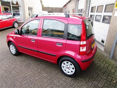 Fiat Panda - 1.2 Edizione Cool 1e eigenaar - 1