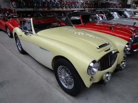 Austin Healey - MK1 - 1