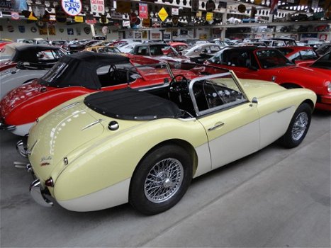 Austin Healey - MK1 - 1