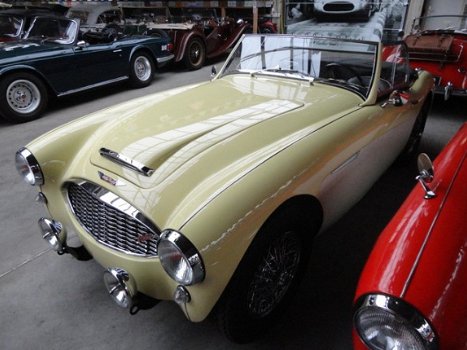 Austin Healey - MK1 - 1