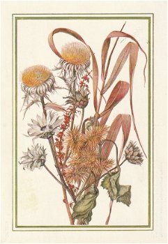 Bloemenkaart uitgave Fiom - 1
