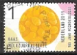 nederland 163 - 0 - Thumbnail