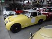 MG Midget - Frogeye sebring - 1 - Thumbnail