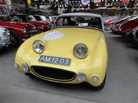 MG Midget - Frogeye sebring - 1