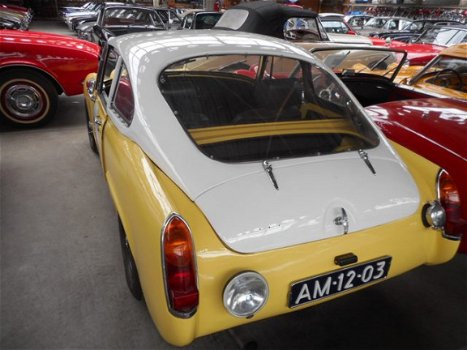 MG Midget - Frogeye sebring - 1