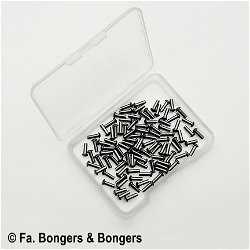 100 bolkopklinknagels blank 2x6 mm