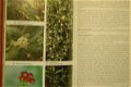 Giftige planten gids - 5 - Thumbnail