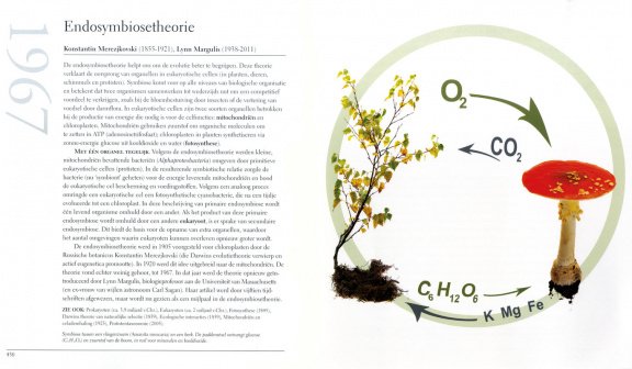 HET BIOLOGIEBOEK - 3