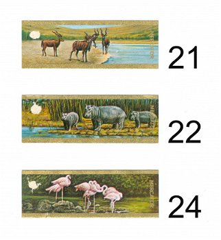 Mercator - Serie Safari RH (1-24) - 2