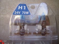 Halogeenlampen 24 volt xenonbleu H1 H3 H4 H7 24V trucks