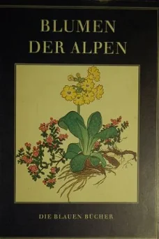 Blumen der Alpen