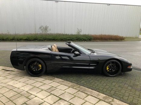 Chevrolet Corvette - Cabriolet - 50 Anniversary - 6 bak - 2002 - Youngtimer - 1