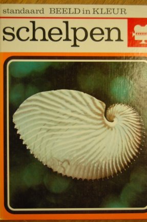 Schelpen (beeld in kleur) - nr. 1