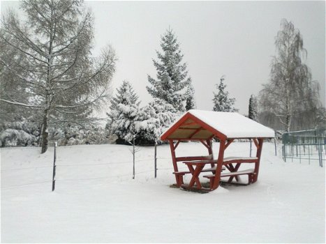 Reiterhof in Ungarn zu verkaufen - 7