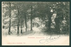 OOSTERBEEK-DOORWERTH Italiaansche weg (Oosterbeek-Rotterdam 1903)