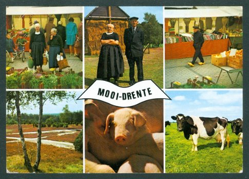 DR DRENTE Mooi, klederdracht heide (Zwolle 1980) - 1