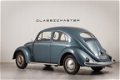 Volkswagen Kever - Ovaal - 1 - Thumbnail