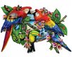 SunsOut - Parrots Paradise - 1000 Stukjes Nieuw - 1 - Thumbnail
