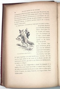 Bogdanoff, [c.1880] Les Steppes et les Halliers Rusland - 2