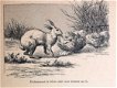 Bogdanoff, [c.1880] Les Steppes et les Halliers Rusland - 4 - Thumbnail