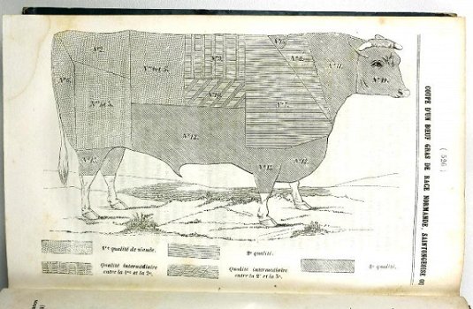 [Landbouw] La Revue Agricole 1846-7 Tractor Algerije Olijven - 2