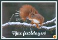 NATUUR Eekhoorn - Natuurmonumenten - 1 - Thumbnail