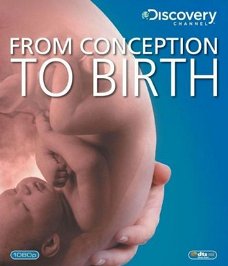 From Conception To Birth (Blu-ray)  Discovery Channel