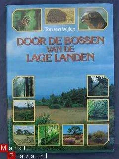 Door de bossen van de lage landen - 1