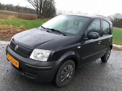 Fiat Panda - 1.2 Popstar Panda 1.2 Popstar Slechts 89 DKM Hele Mooie - 1