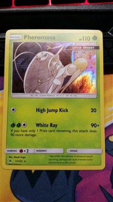 Pheromosa  11/131 Holo S & M Forbidden Light